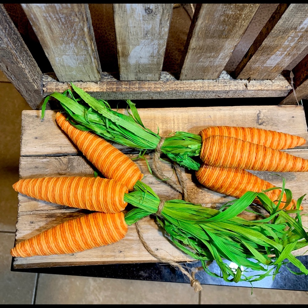 6 RUSTIC FARMHOUSE CARROTS EASTER SPRING